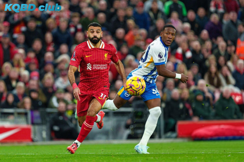 Đội hình dự kiến trước trận Brighton vs Liverpool Đội hình dự kiến trước trận Brighton vs Liverpool